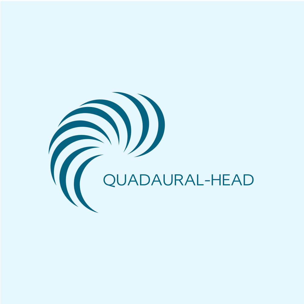 Quadaural-head meeting point