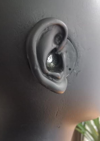 principe d'insertion des capsules DPA 4053